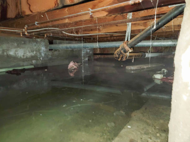 Best Fire Damage Restoration  in Exeter, PA