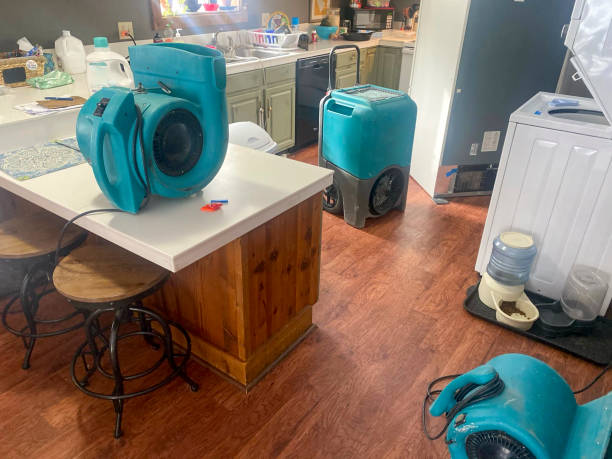 Best Water damage contractors near me  in Exeter, PA