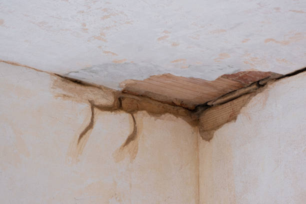Best Water damage restoration near me  in Exeter, PA