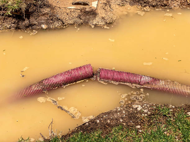 Best Emergency water damage restoration  in Exeter, PA